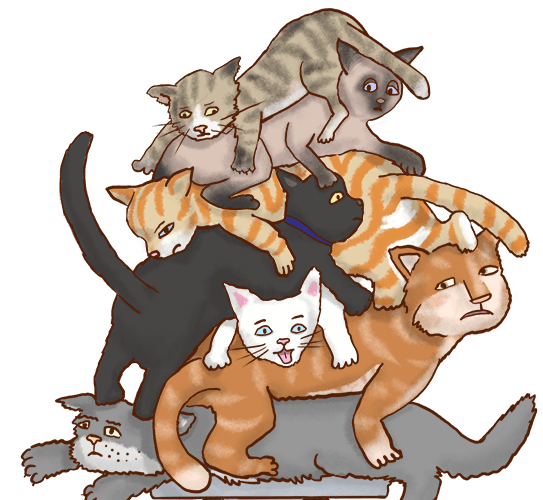 cats piled on top of each other