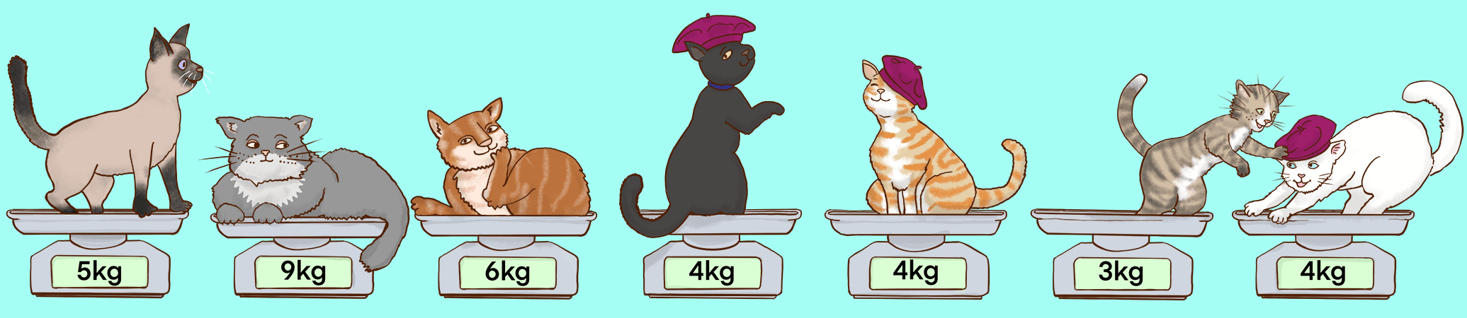 Seven different cats still sitting on cats with weights 
          5kg, 9kg, 6kg, 4kg, 4kg, 3kg, 4kg. The 4kg cats wear pink berets.