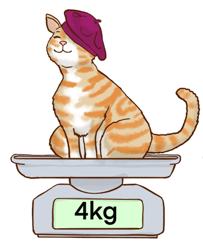 a 4kg cat wearing a beret
