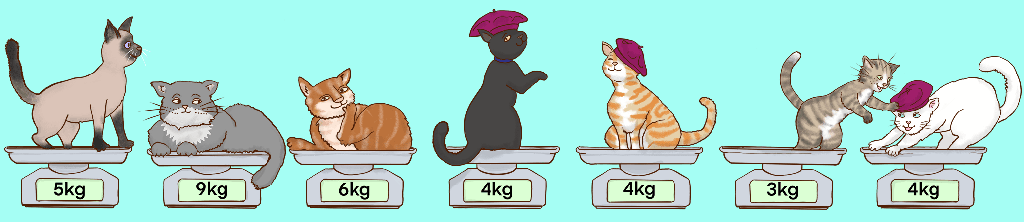 Seven different cats still sitting on cats with weights
5kg, 9kg, 6kg, 4kg, 4kg, 3kg, 4kg. The 4kg cats wear pink berets.